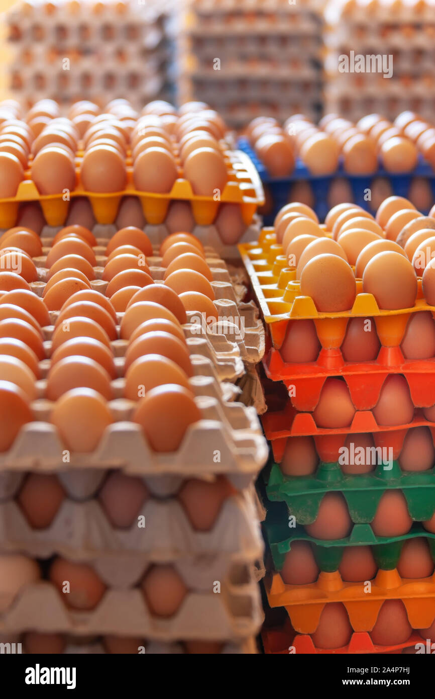 Eggs production, packed in a carton Stock Photo Alamy