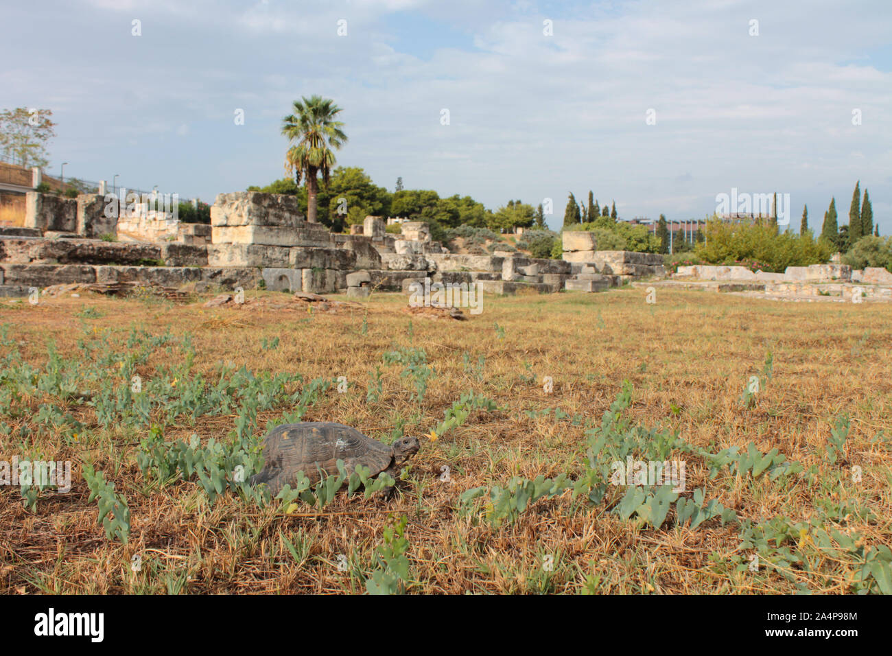 Soil Archeology High Resolution Stock Photography and Images - Alamy