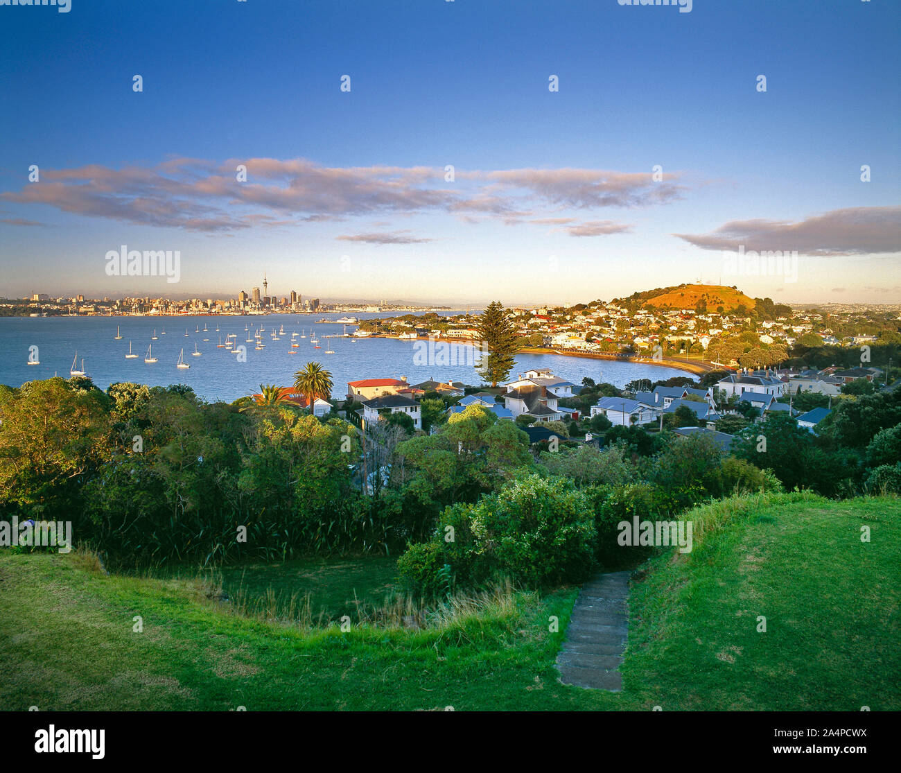 New Zealand. Auckland. High viewpoint of the city. Stock Photo