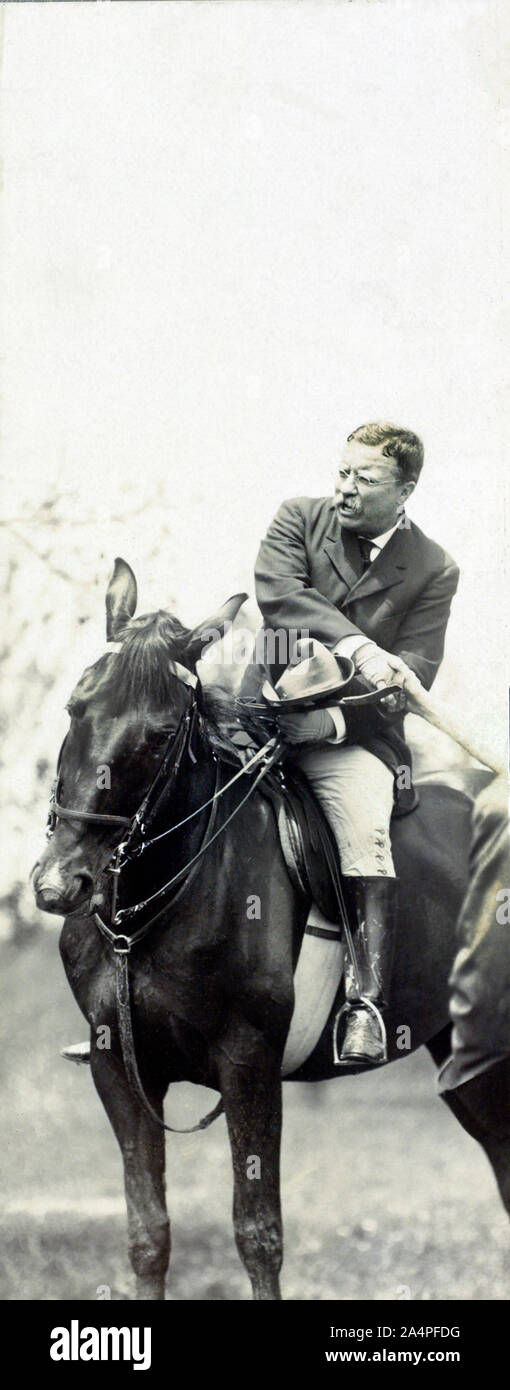 U.S. President Theodore Roosevelt on Horseback Shaking Hands with Unidentified Person, Washington, D.C., USA, Photograph by Barnett McFee Clinedinst, June 22, 1908 Stock Photo