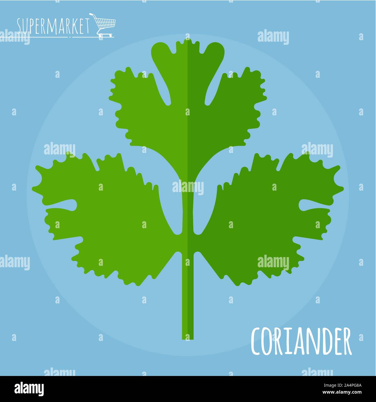 Coriander flat design icon. Stock Vector