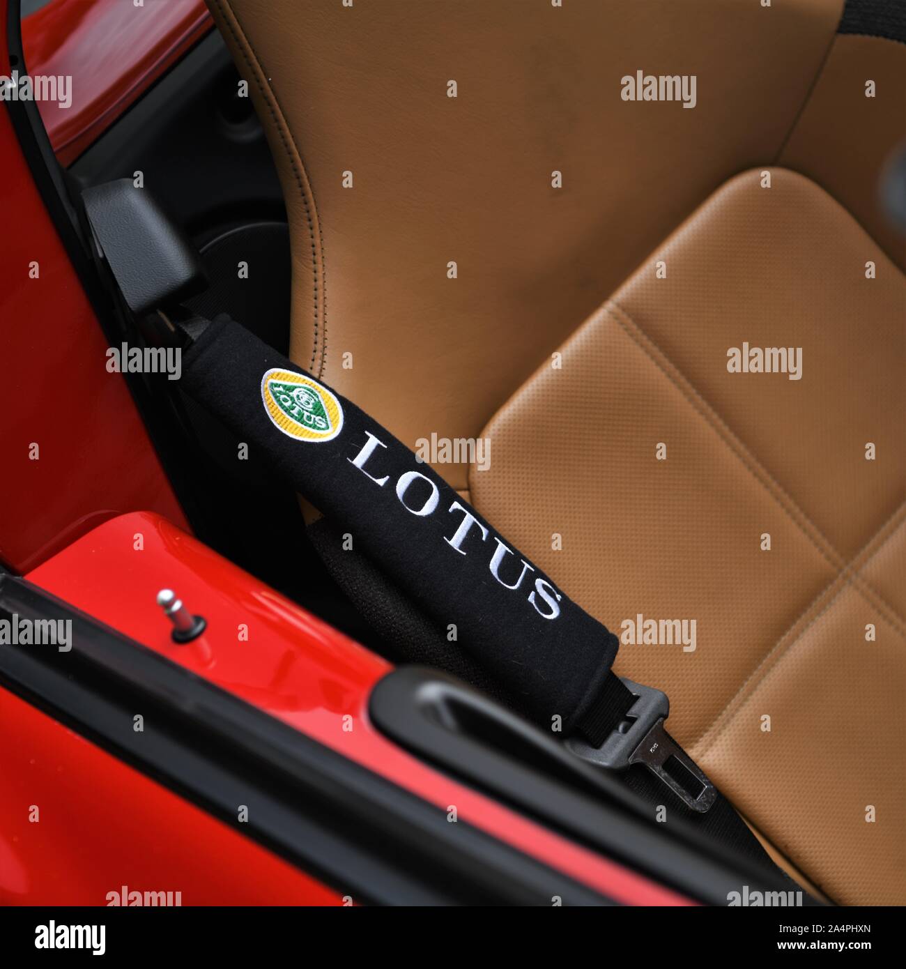 Lotus sports car seat belt Stock Photo Alamy