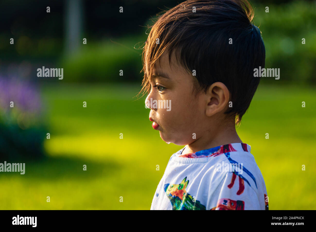 Cute Mexican American boy child is playing in a garden park. Latino youth having fun together. Stock Photo