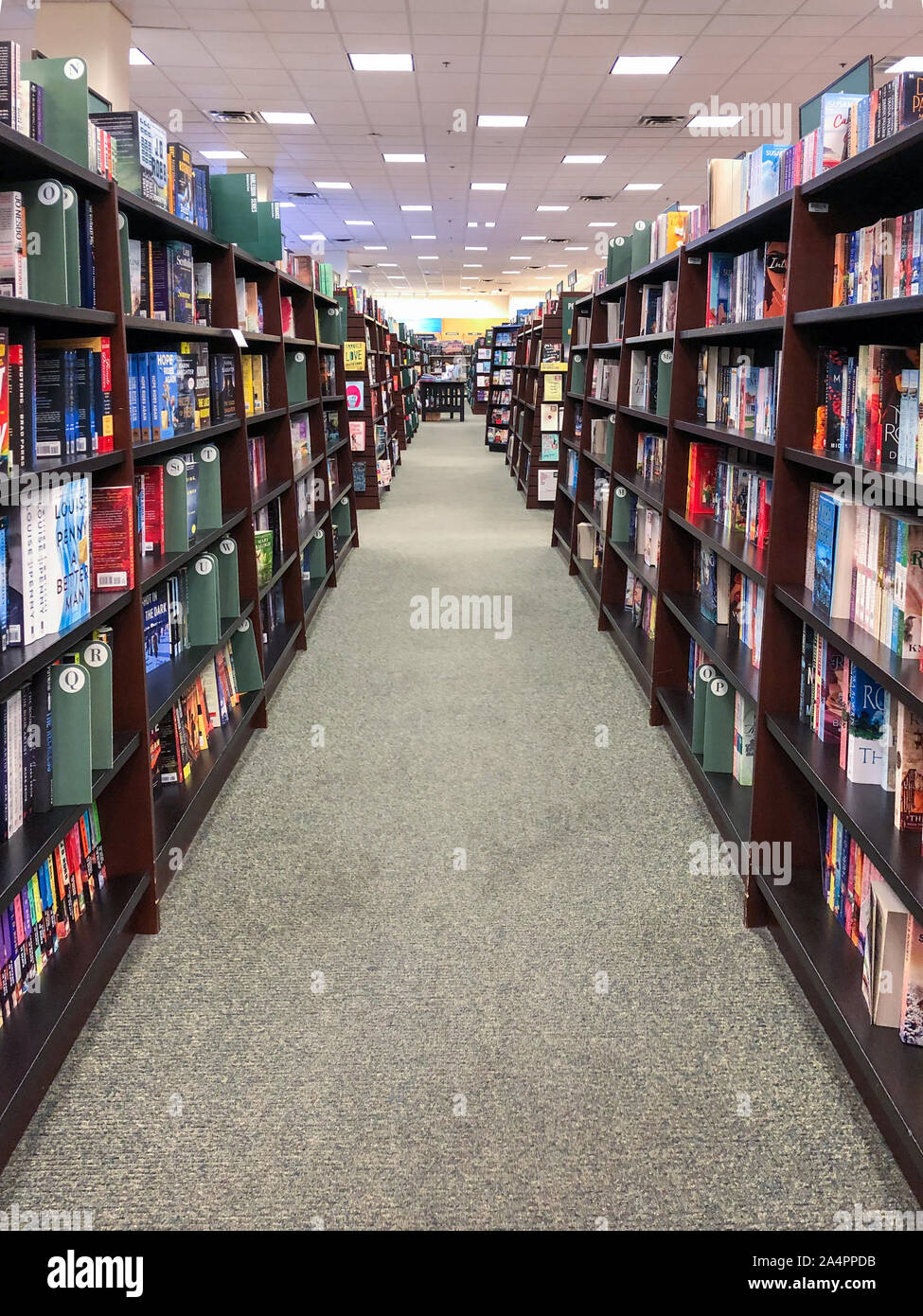 Rows of different colorful books lying on the shelves in the modern