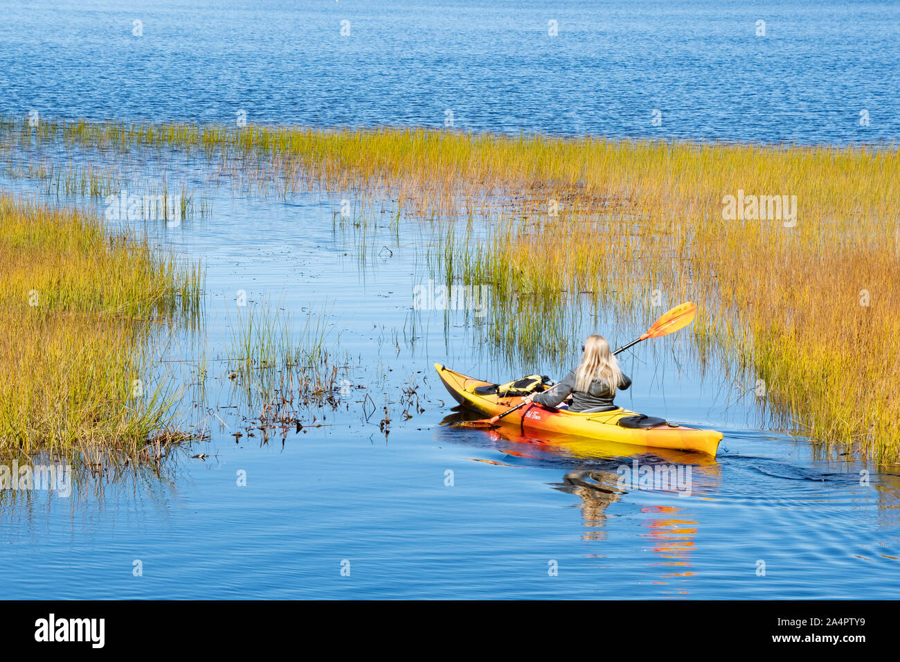 A woman paddling a kayak on Lake Pleasant, NY in the Adirondack Mountains on a clear autumn afternoon. Stock Photo