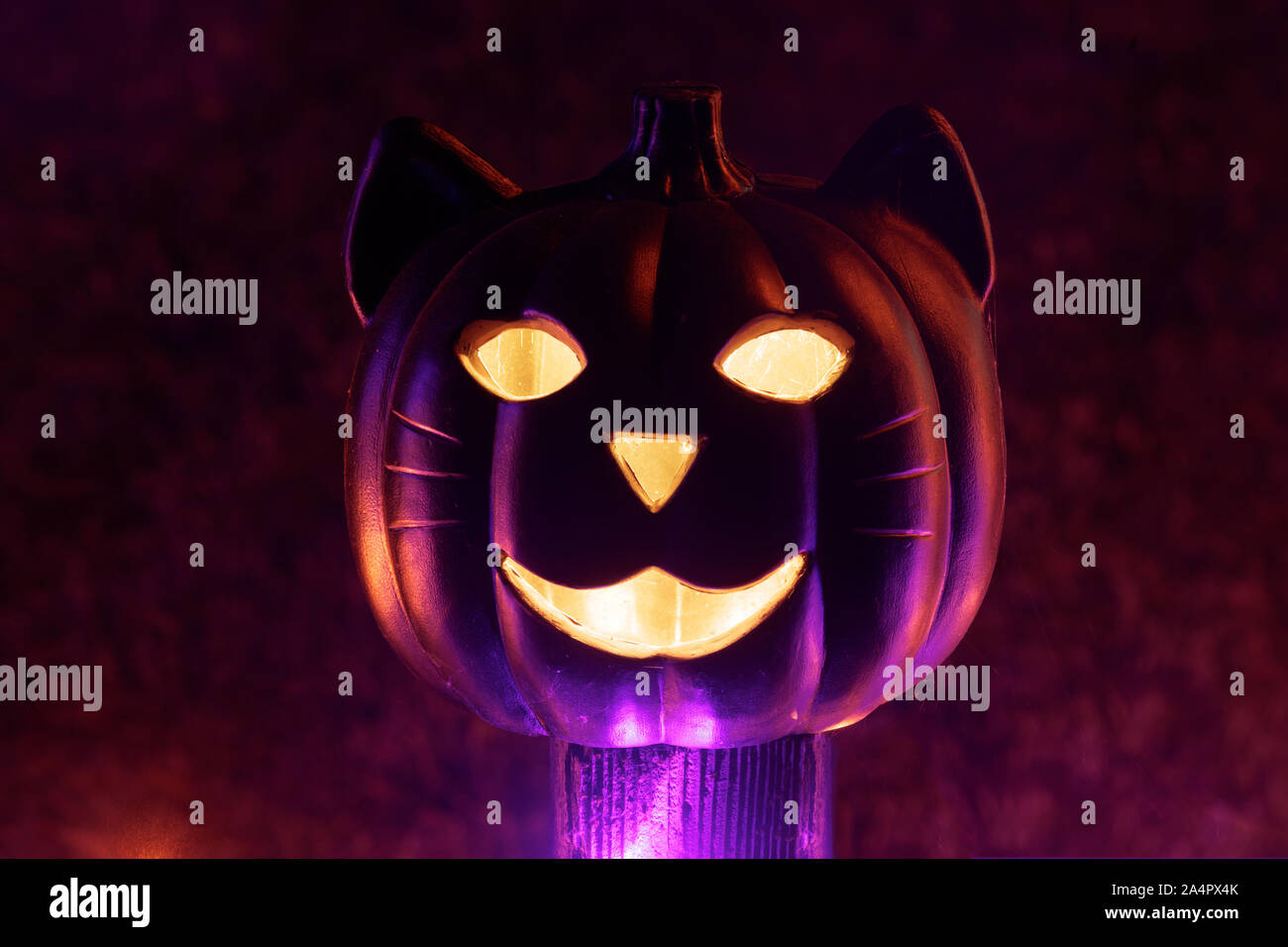 Cat Halloween Carved Pumpkin Glowing in the Dark Stock Photo - Alamy