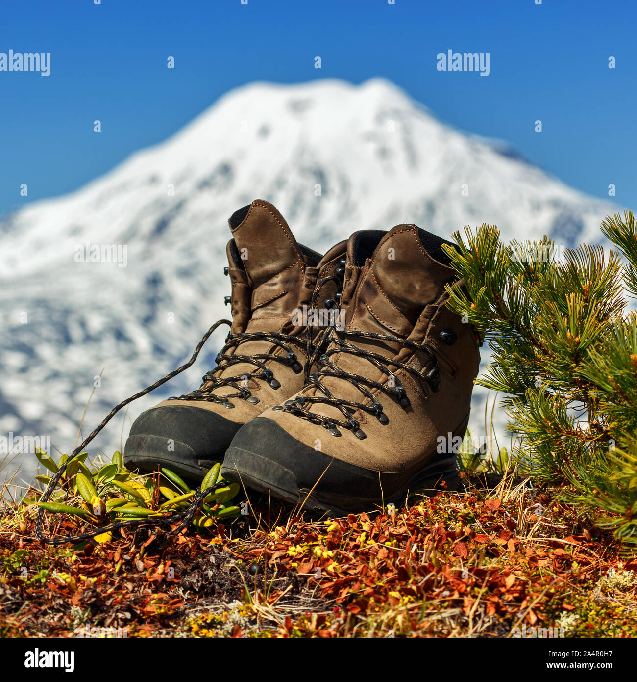 Chaussures D'alpinisme Vintage En Cuir Avec Crampons Métal - Occasion