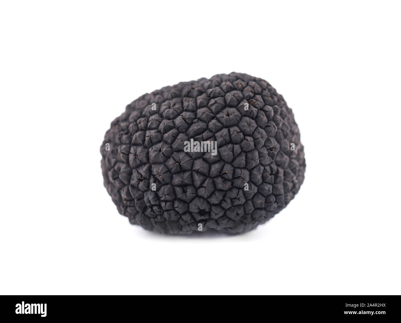 Black truffles isolated on a white background. Delicacy exclusive
