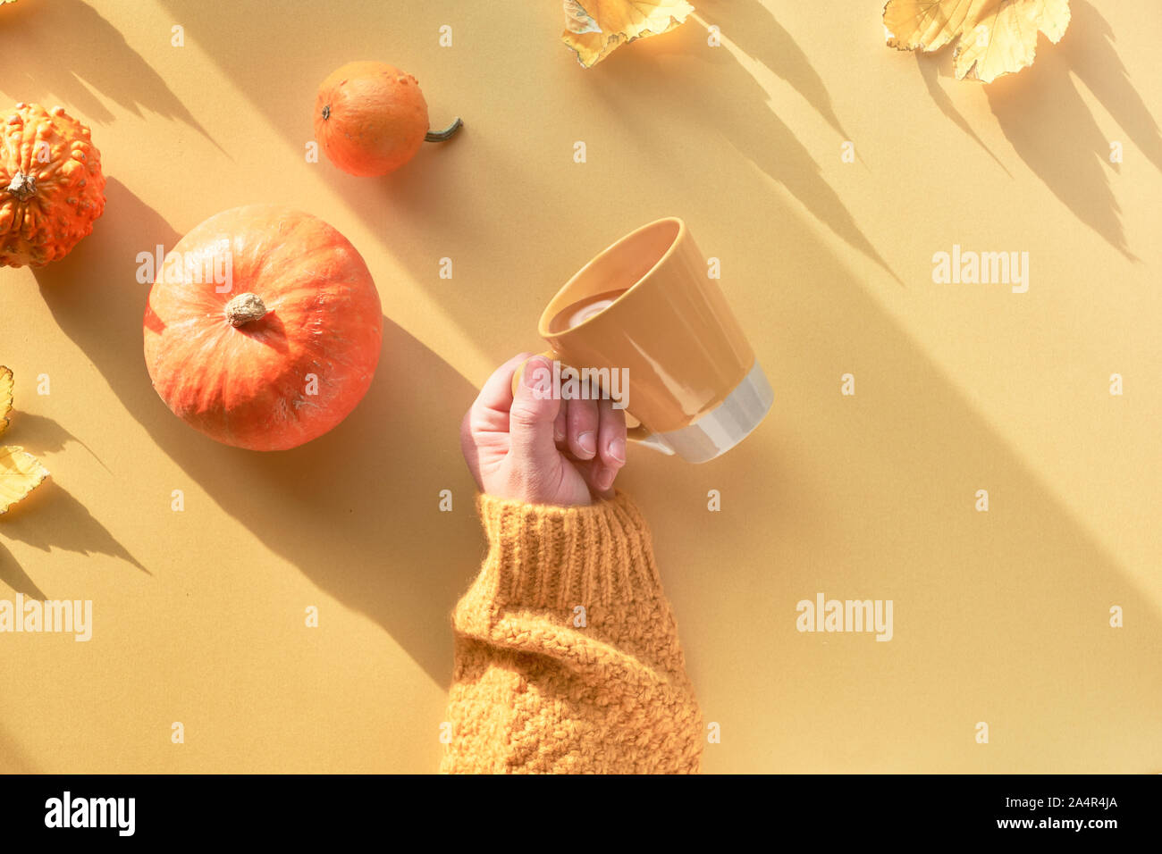 Yellow paper flat lay with female hand holding cup of coffee, decorative pumpkins, quince and maple leaves. Top view with long shadows and copy-space. Stock Photo