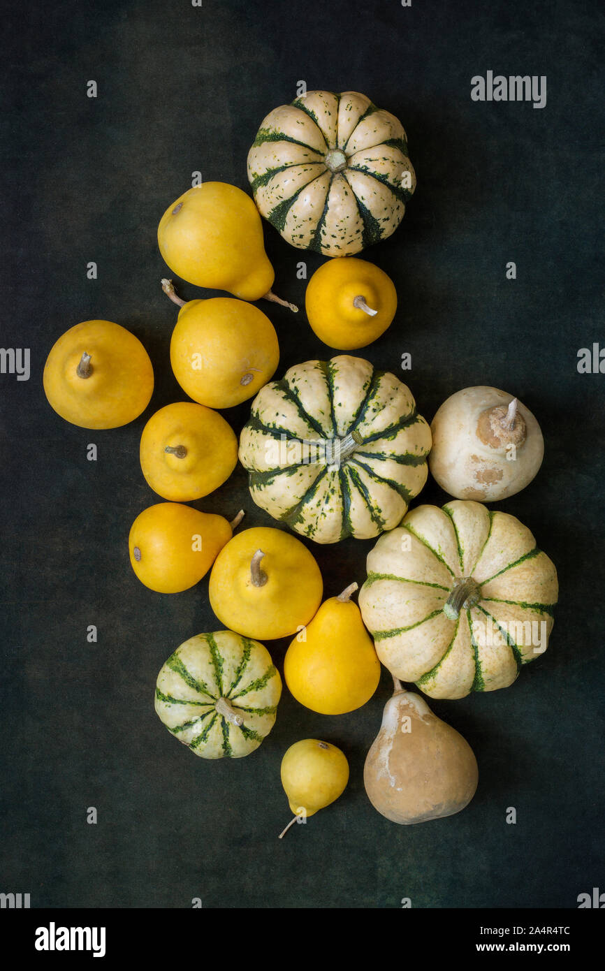 Still life with decorative pumpkins, top view. Stock Photo