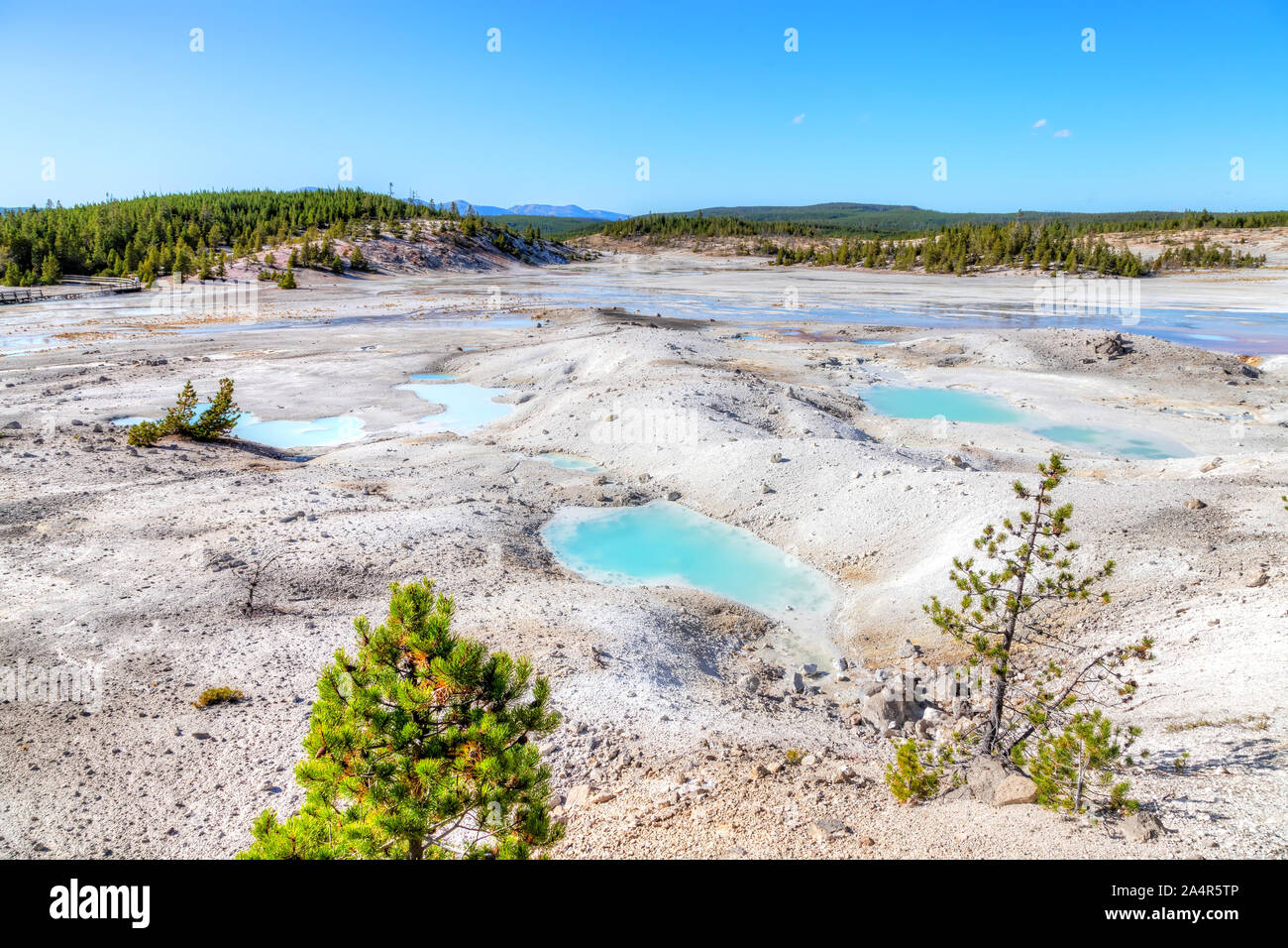 Geothermal pools at Porcelain Basin Trail inside Norris Geyser Basin of Yellowstone National Park, Wyoming, USA. Stock Photo
