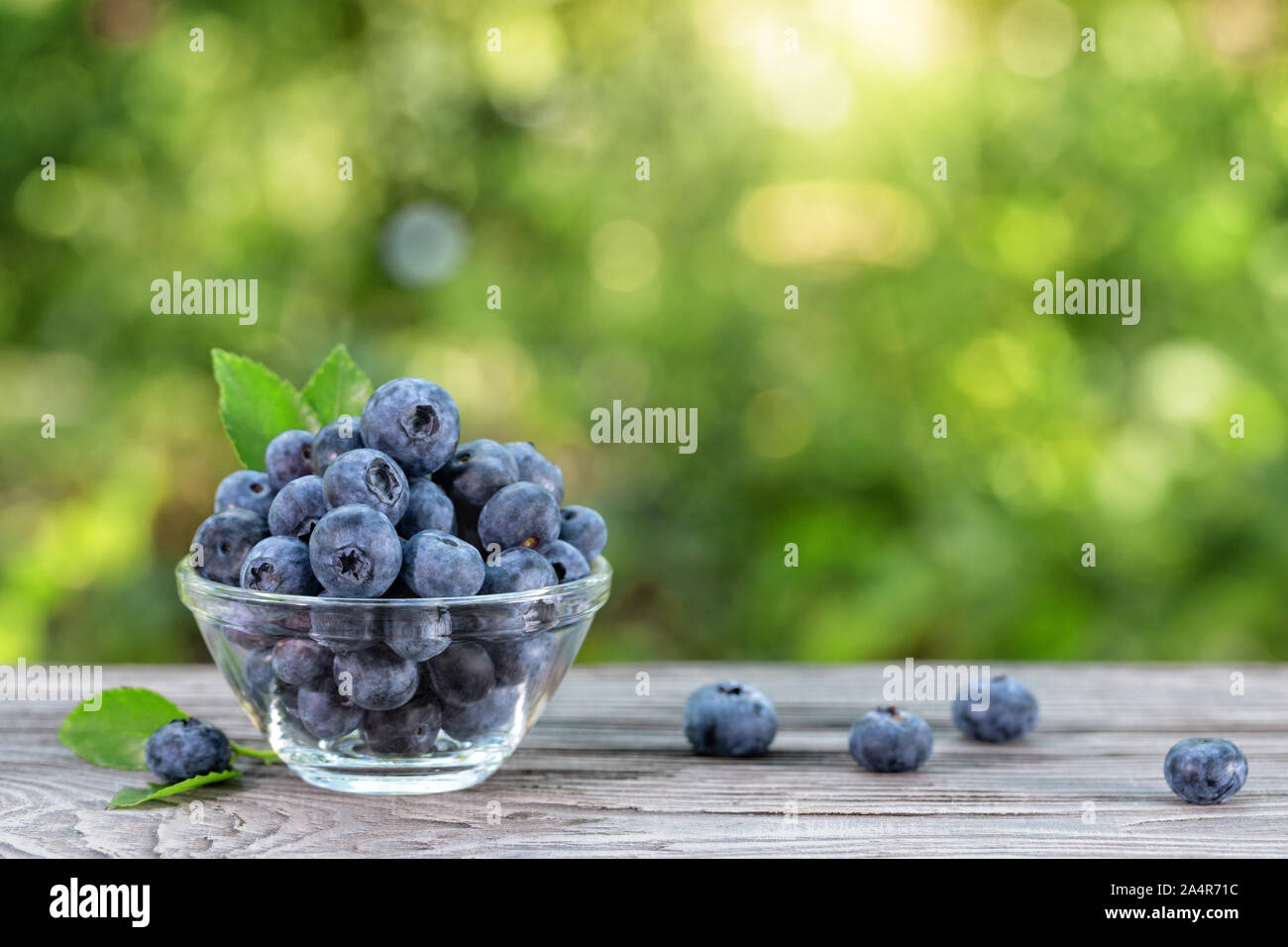 Blueberries in glass bowl and scattered on wooden table. Summer still life Stock Photo