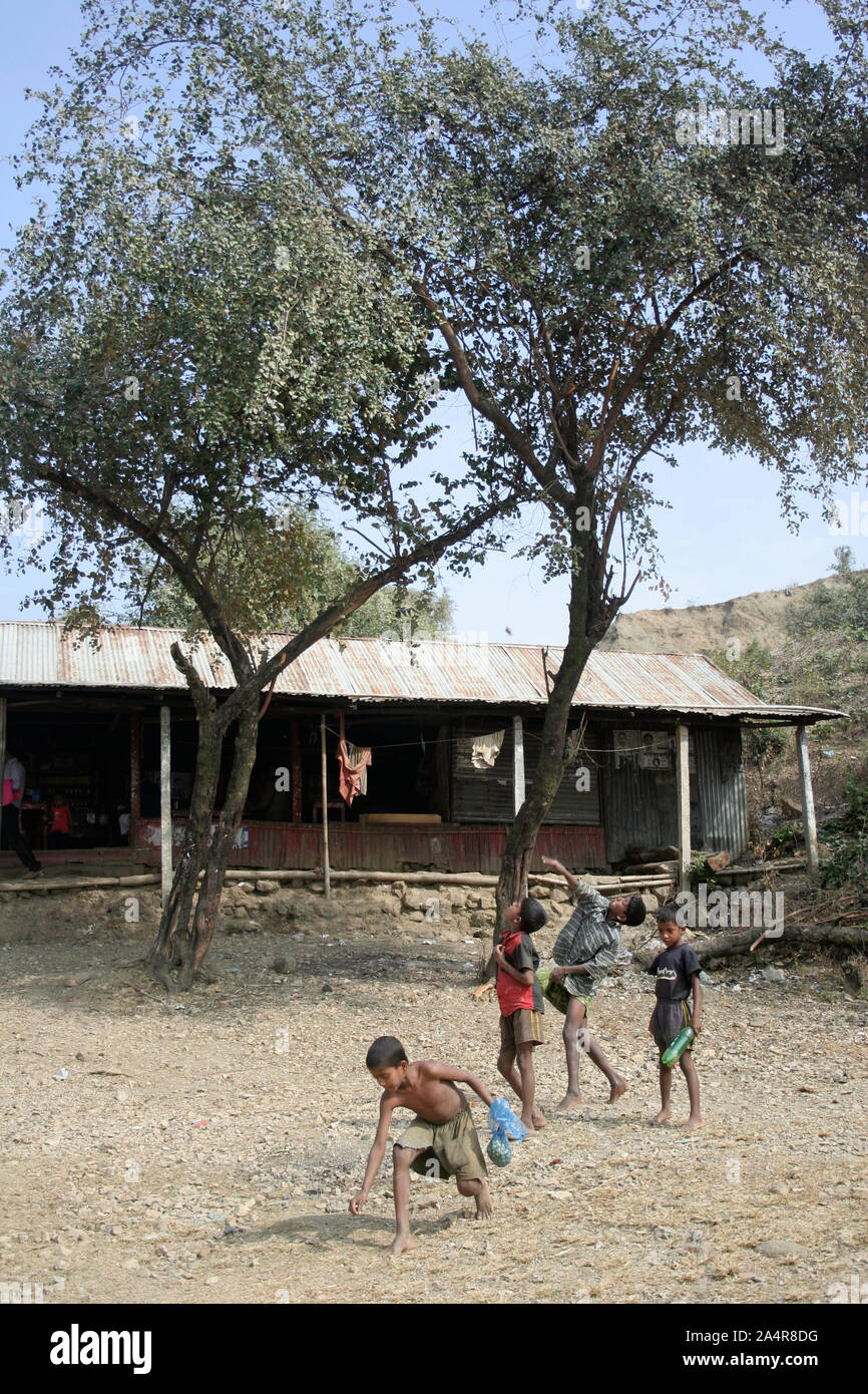 Children throwing stones at a tree laden with jujube. Jaflong