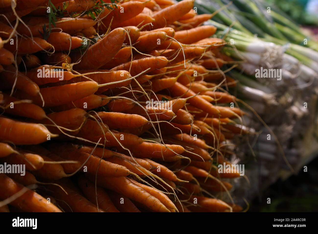 Biologic, natural cultivated sweet carrots on a market counter. Vegetables from the farmers market. Ecologic products. Natural background. Stock Photo