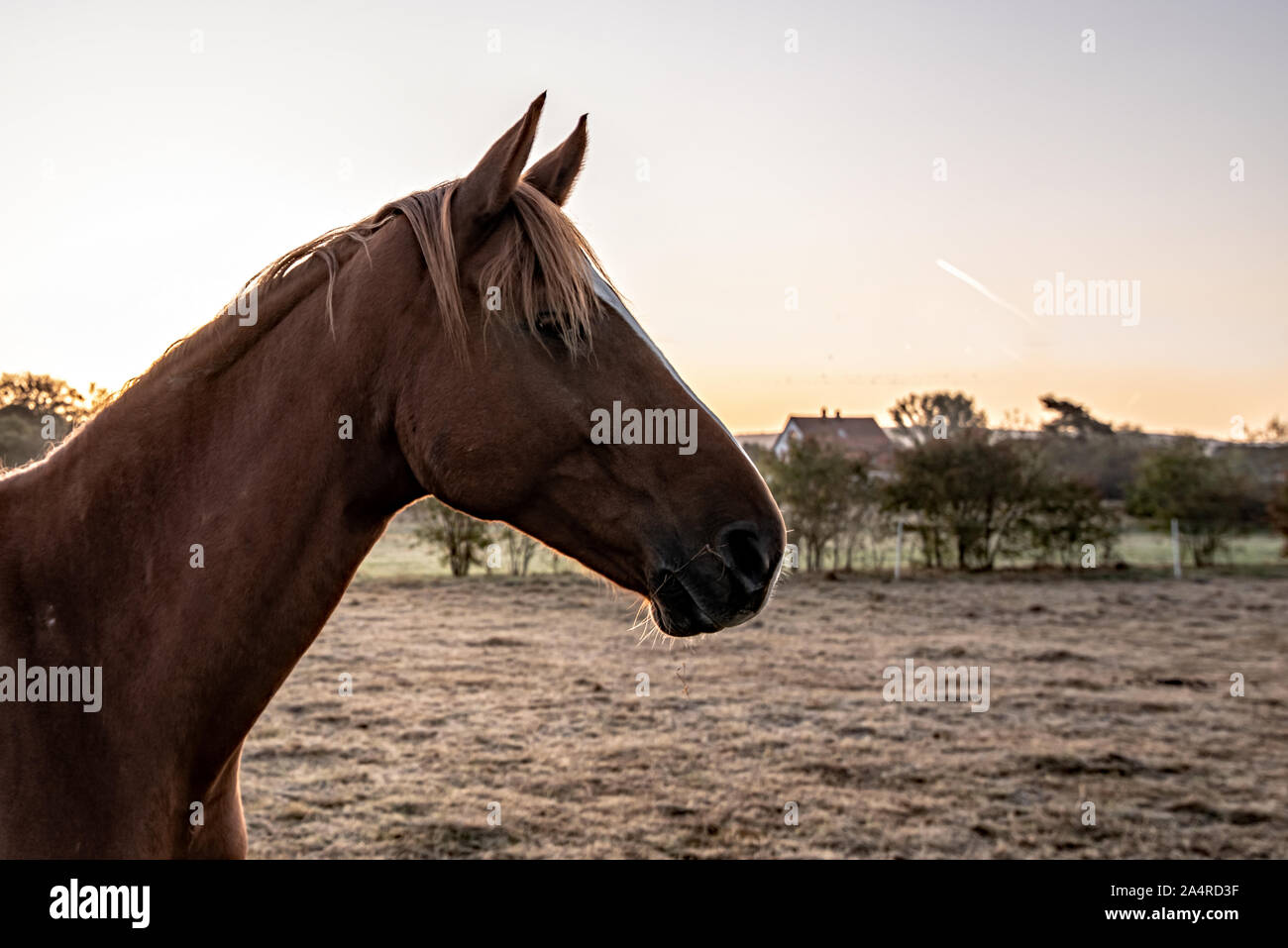 Morgens um sieben Stock Photo - Alamy