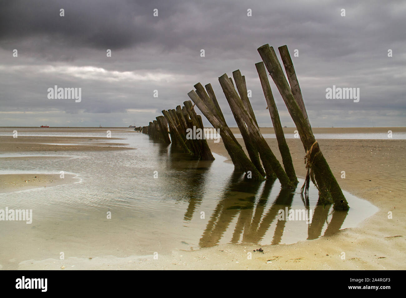 Old skewed wooden breakwater to protect the coast from erosion on the uninhabited Dutch island Griend Stock Photo