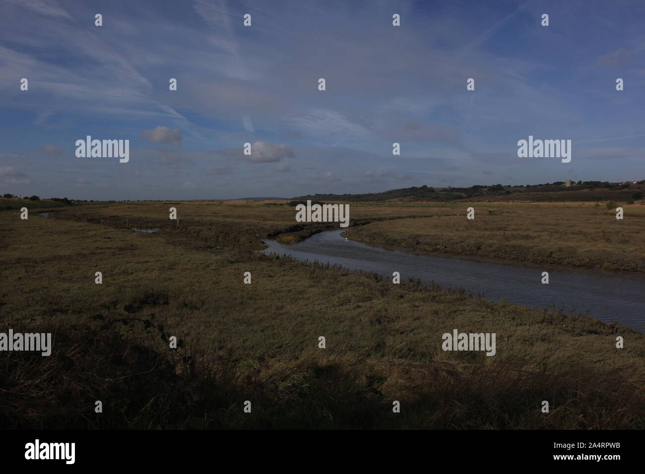 Two tree island essex not birds hires stock photography and images Alamy