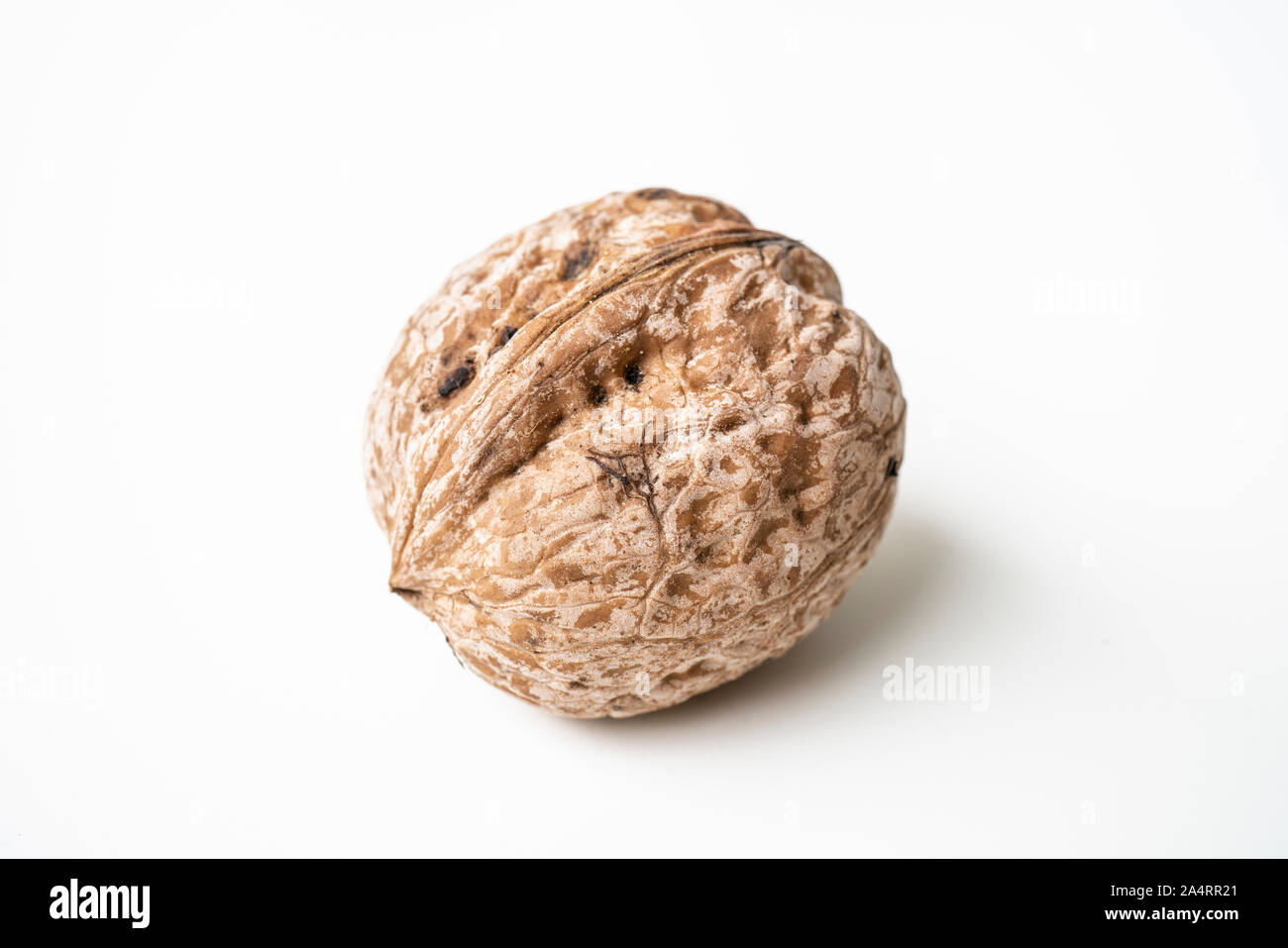 Walnut isolated on a white background. Stock Photo