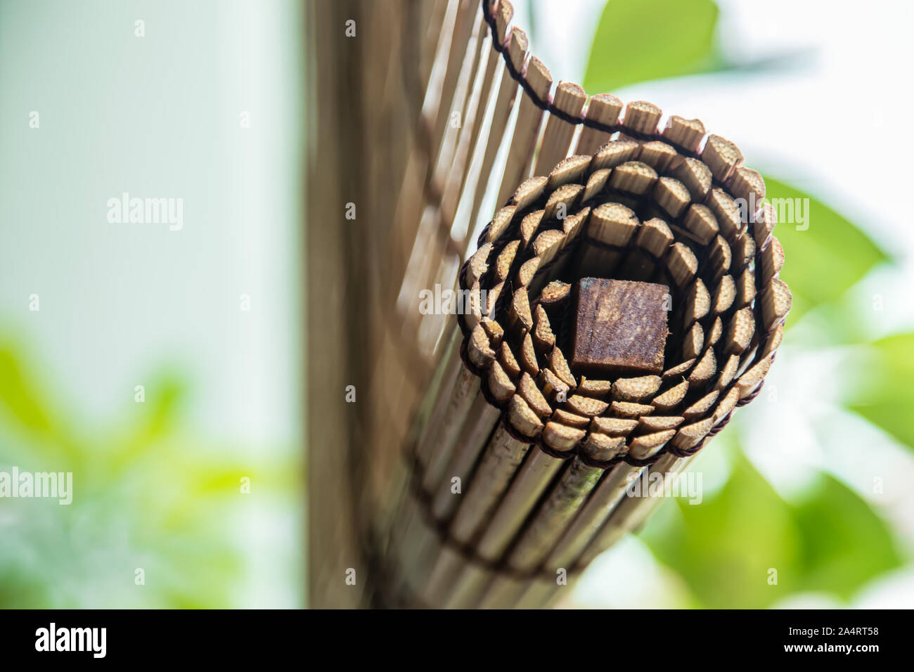 green plant with traditional style bamboo curtain Stock Photo