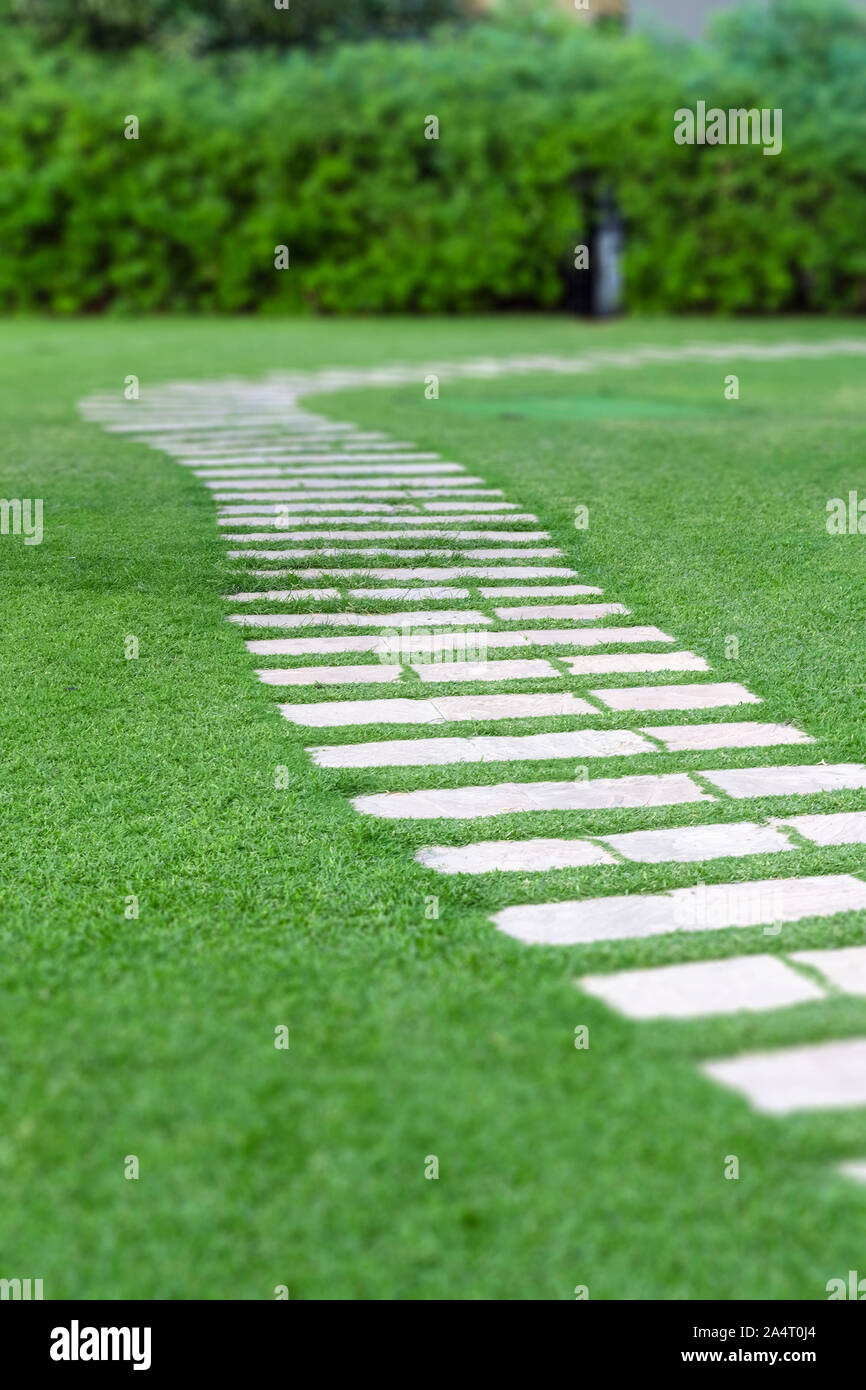 Beautiful path through the green lawn in the park Stock Photo - Alamy