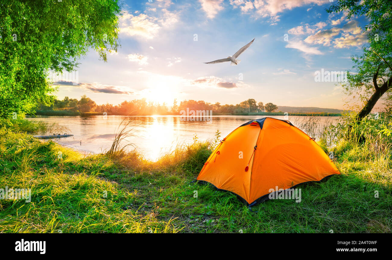 Orange tent on lake and seagull in sky at sunset Stock Photo