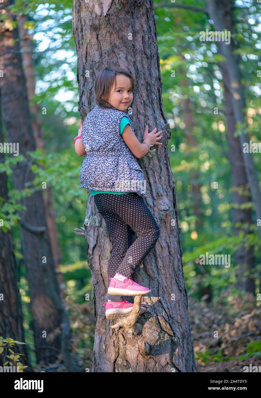 little girl climbing on a tree in the forest Stock Photo - Alamy
