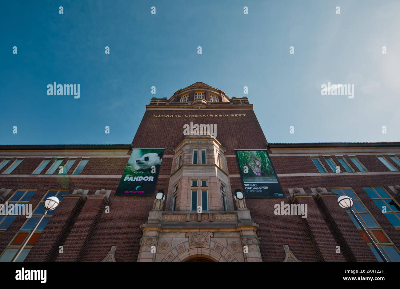 From the natural history museum hi-res stock photography and images - Alamy