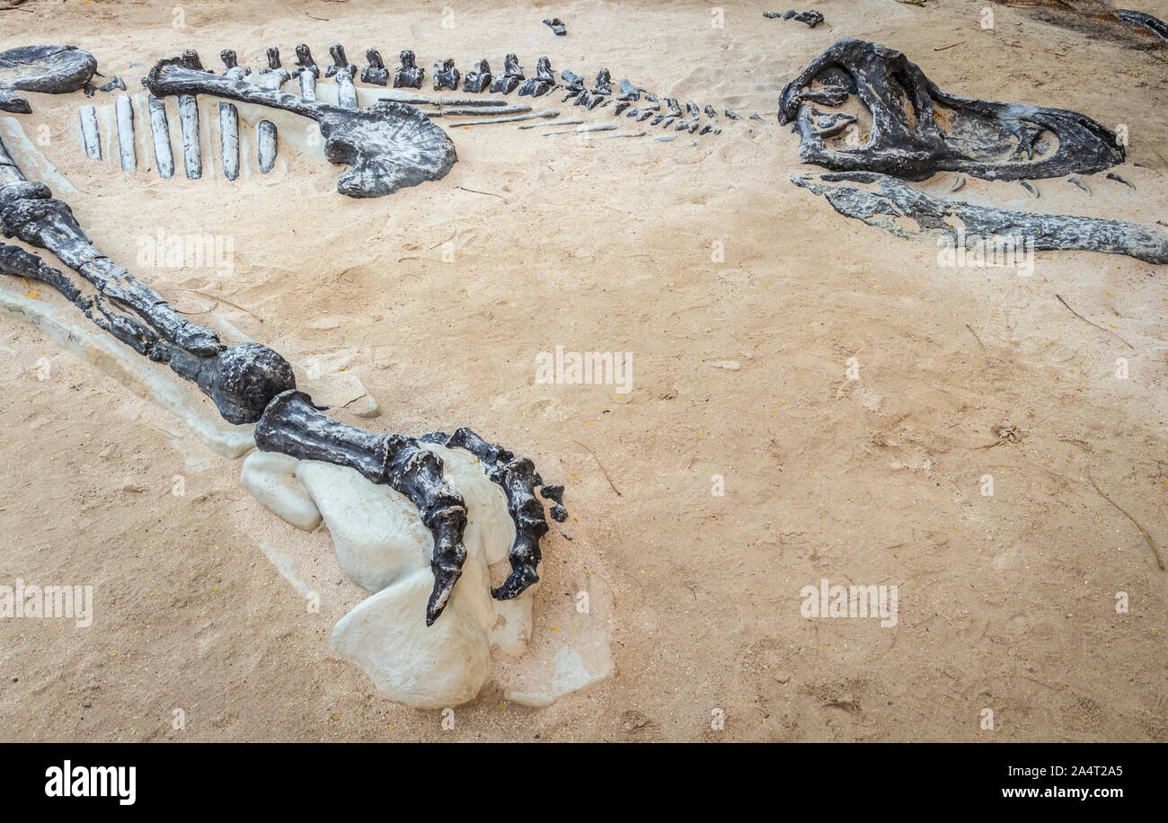 Reproduction of the excavation of the remains of dinosaur bones Stock