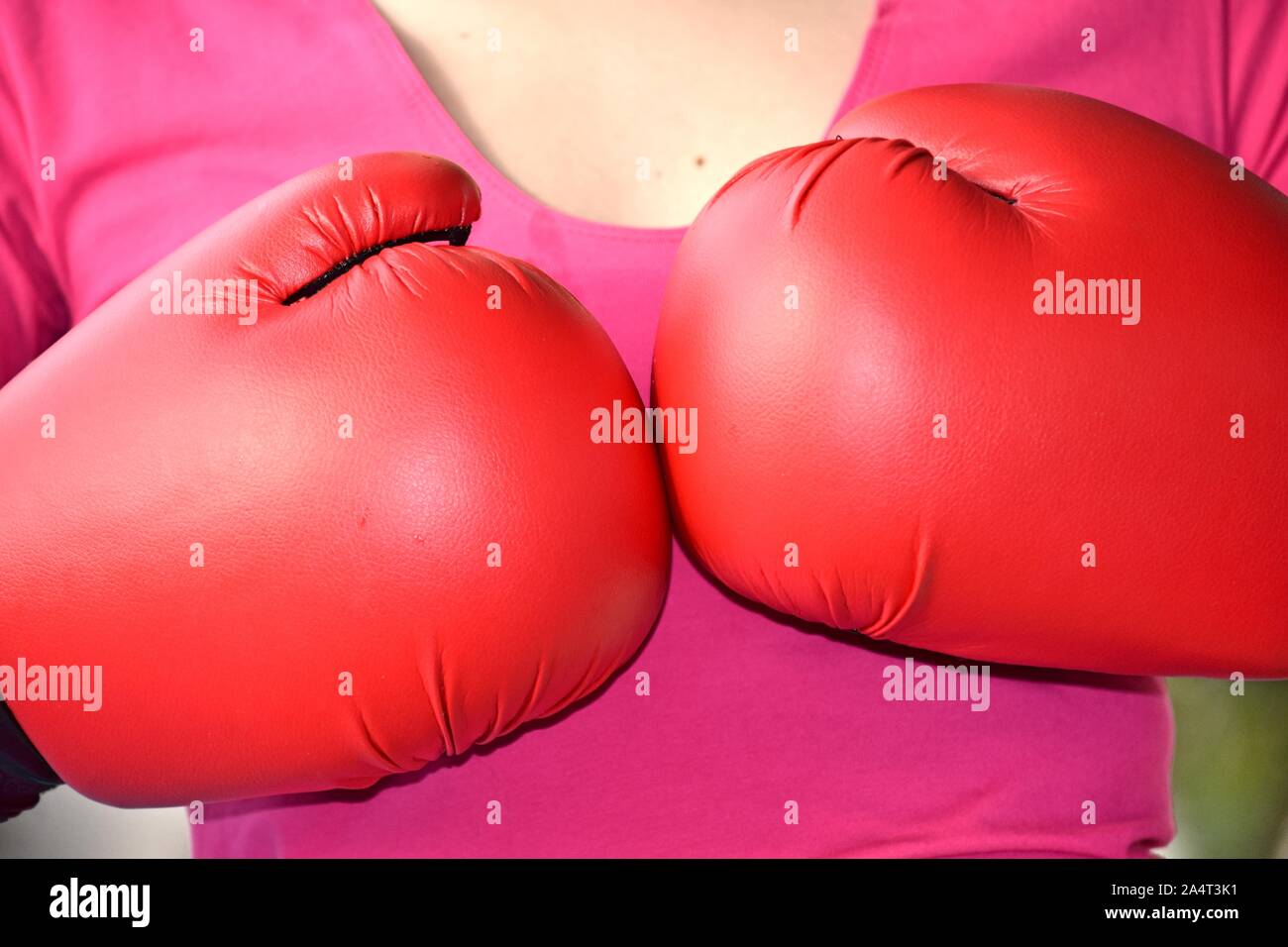 Female With Boxing Gloves Stock Photo
