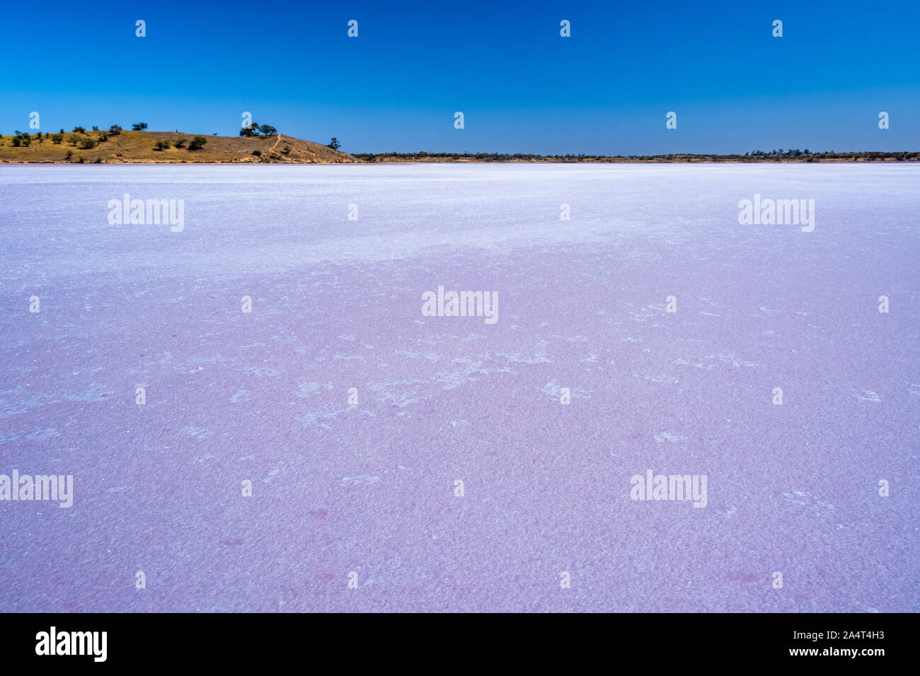 Pink salt lake Crosbie on bright sunny day. Murray-Sunset National Park, Australia Stock Photo