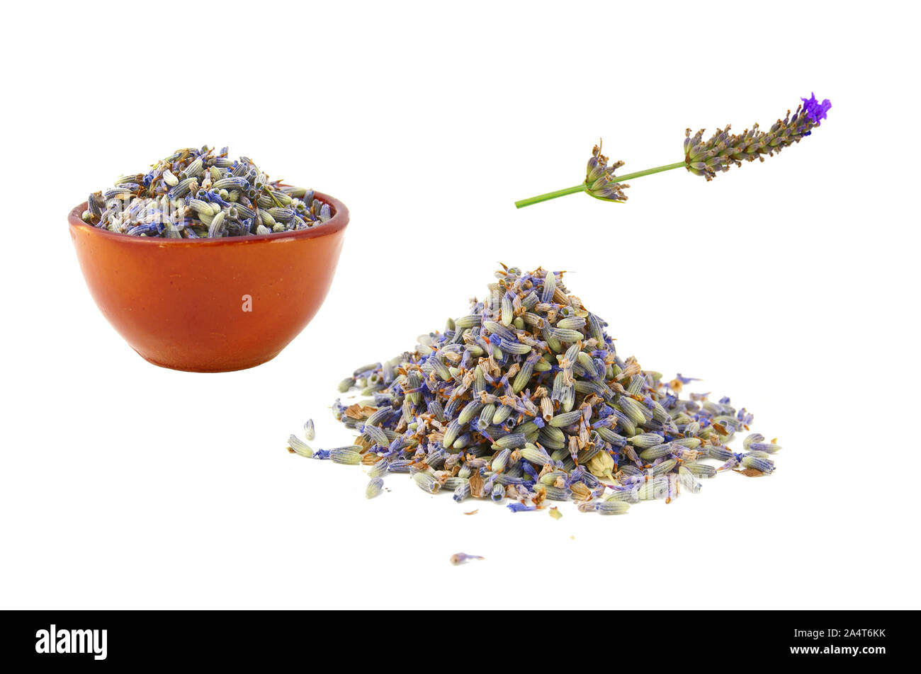 Lavender stem hires stock photography and images Alamy