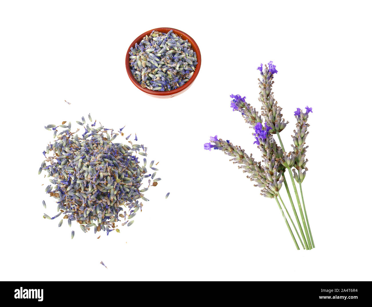 Dried lavender flowers, on stem, or in bulk. White background Stock