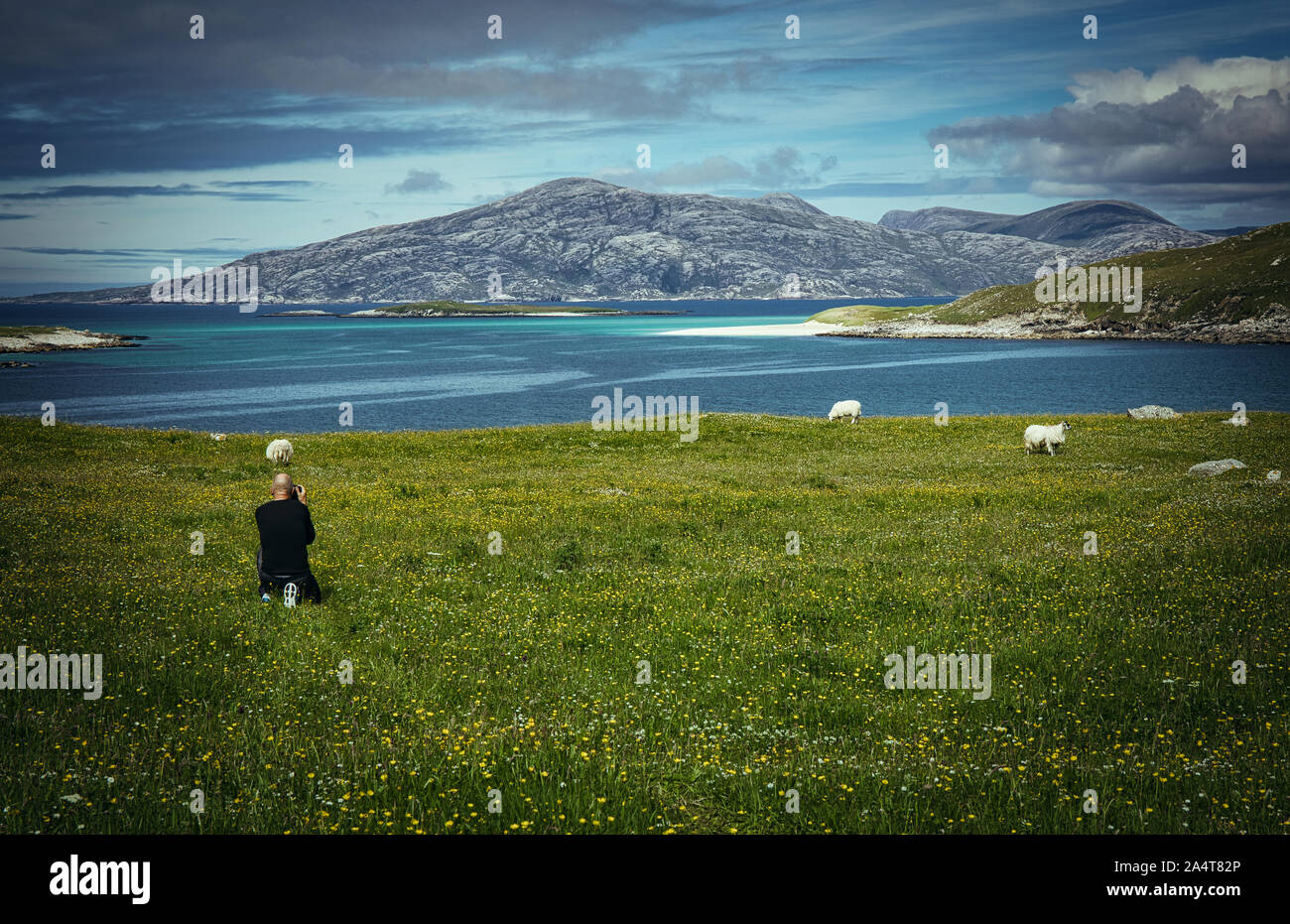 Photographer kneeling in field of wildflowers shooting Atlantic west coast of the Isle of Harris, Outer Hebrides, Scotland Stock Photo