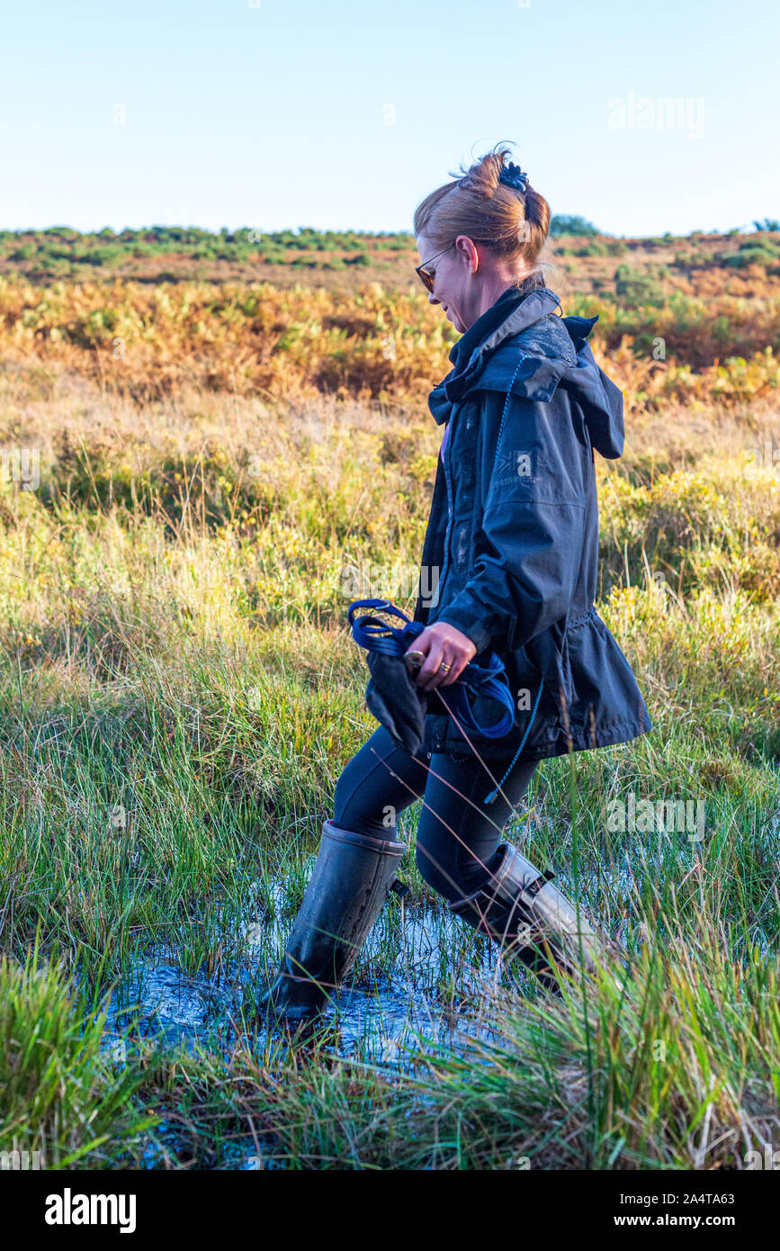 Woman wearing wellies stepping into water after heavy Autumn rain, UK Stock Photo