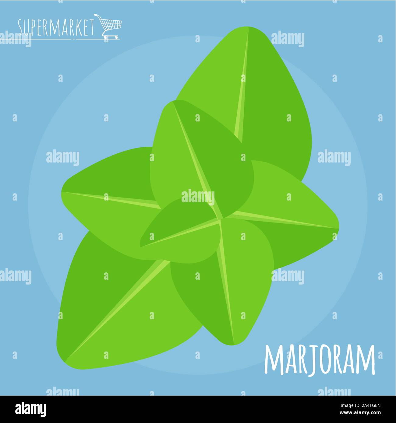 Marjoram flat design vector icon Stock Vector Image & Art Alamy