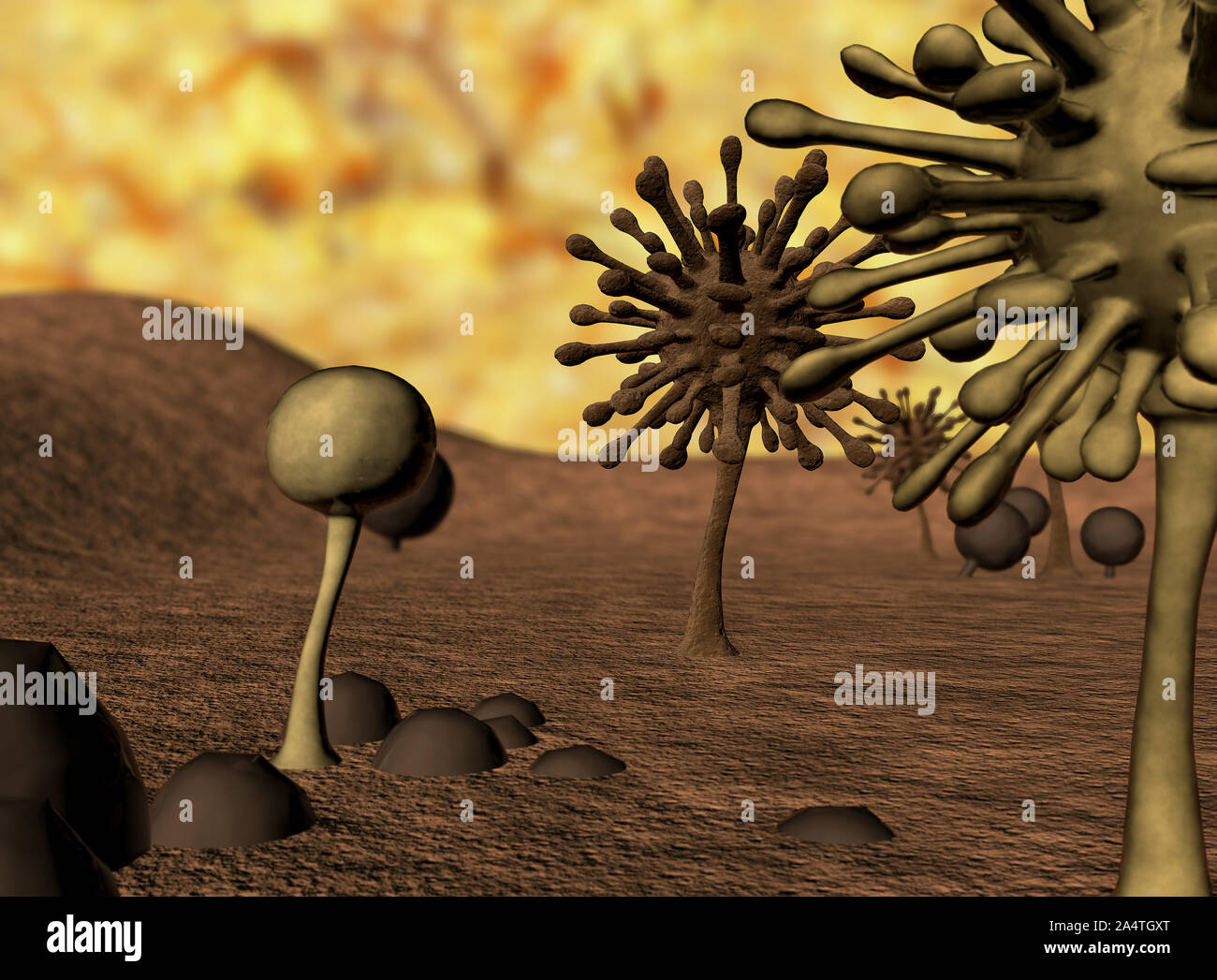 Mold Spores High Resolution Stock Photography and Images Alamy