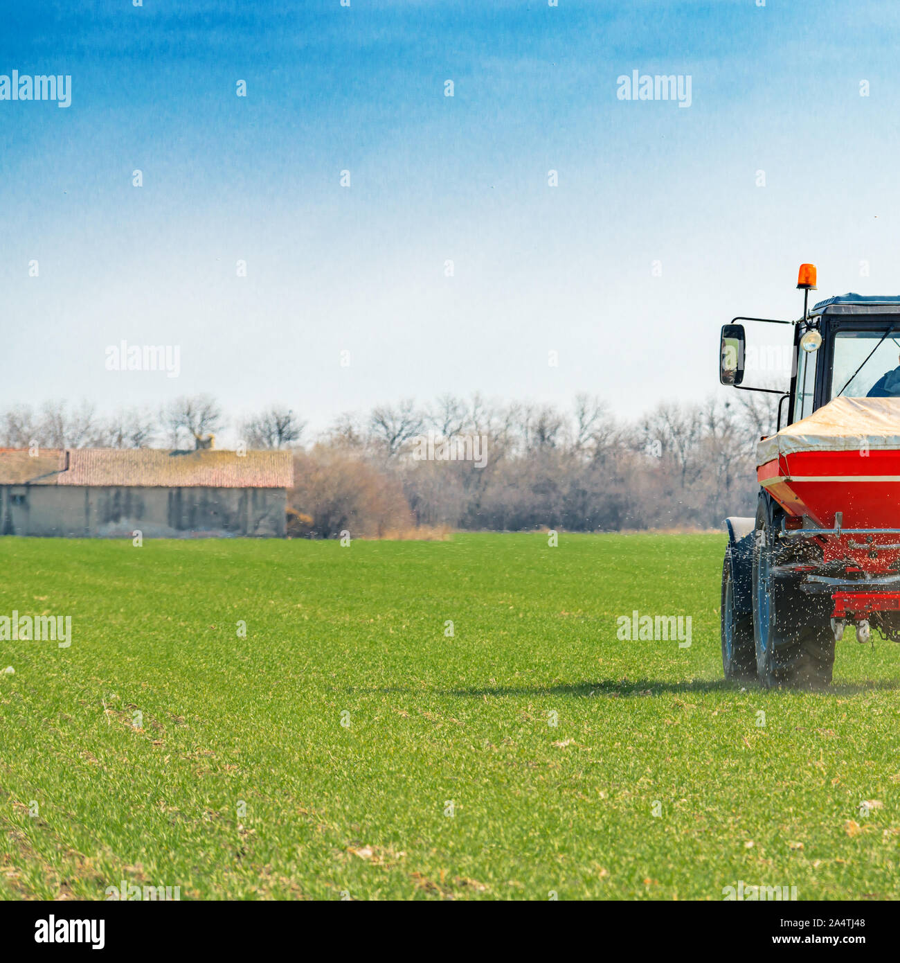 Unrecognizable farmer in agricultural tractor is fertilizing wheat crop field with NPK fertilizer nutrients Stock Photo
