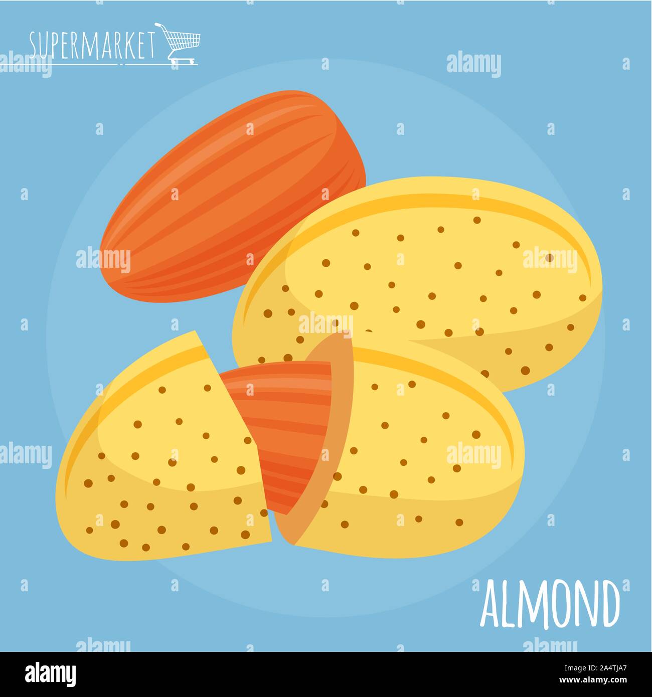 Almond icon Stock Vector Images Alamy
