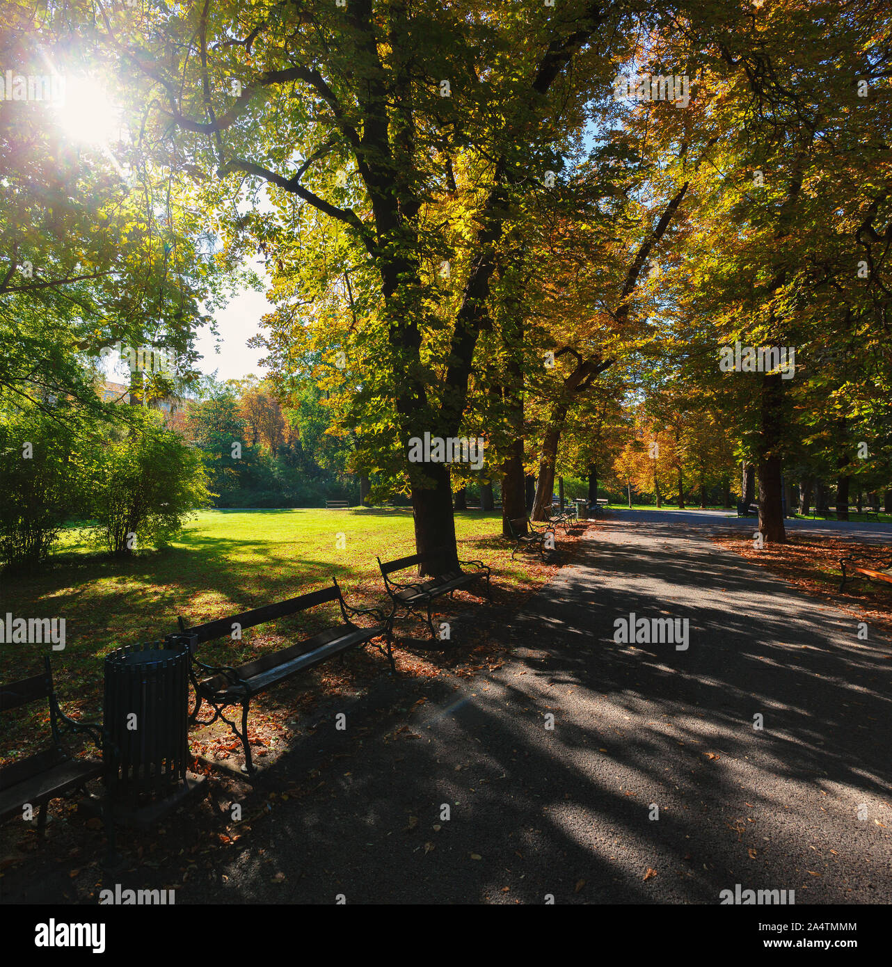 Green city park at summer season hi-res stock photography and images ...