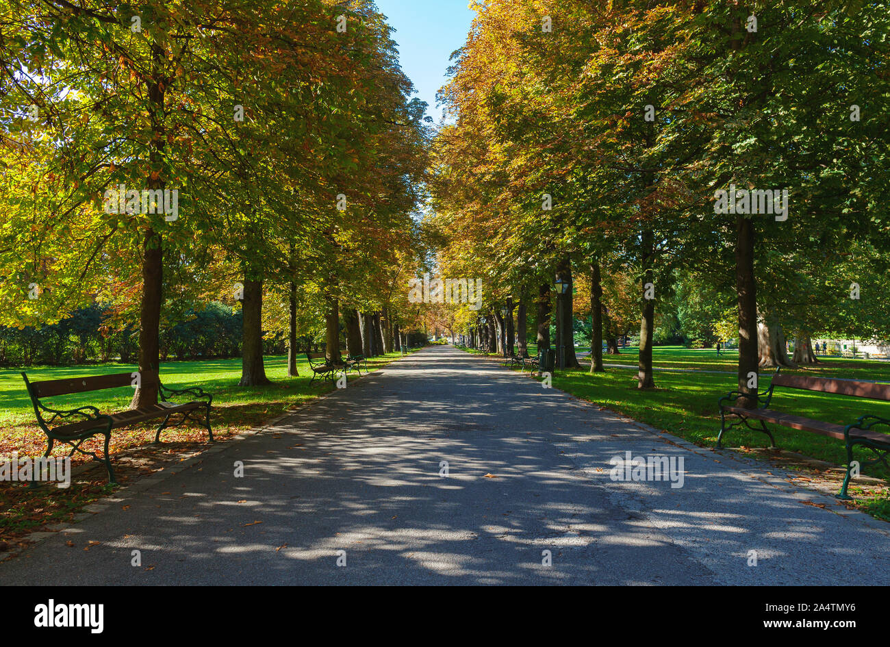 Green city park at summer season hi-res stock photography and images ...