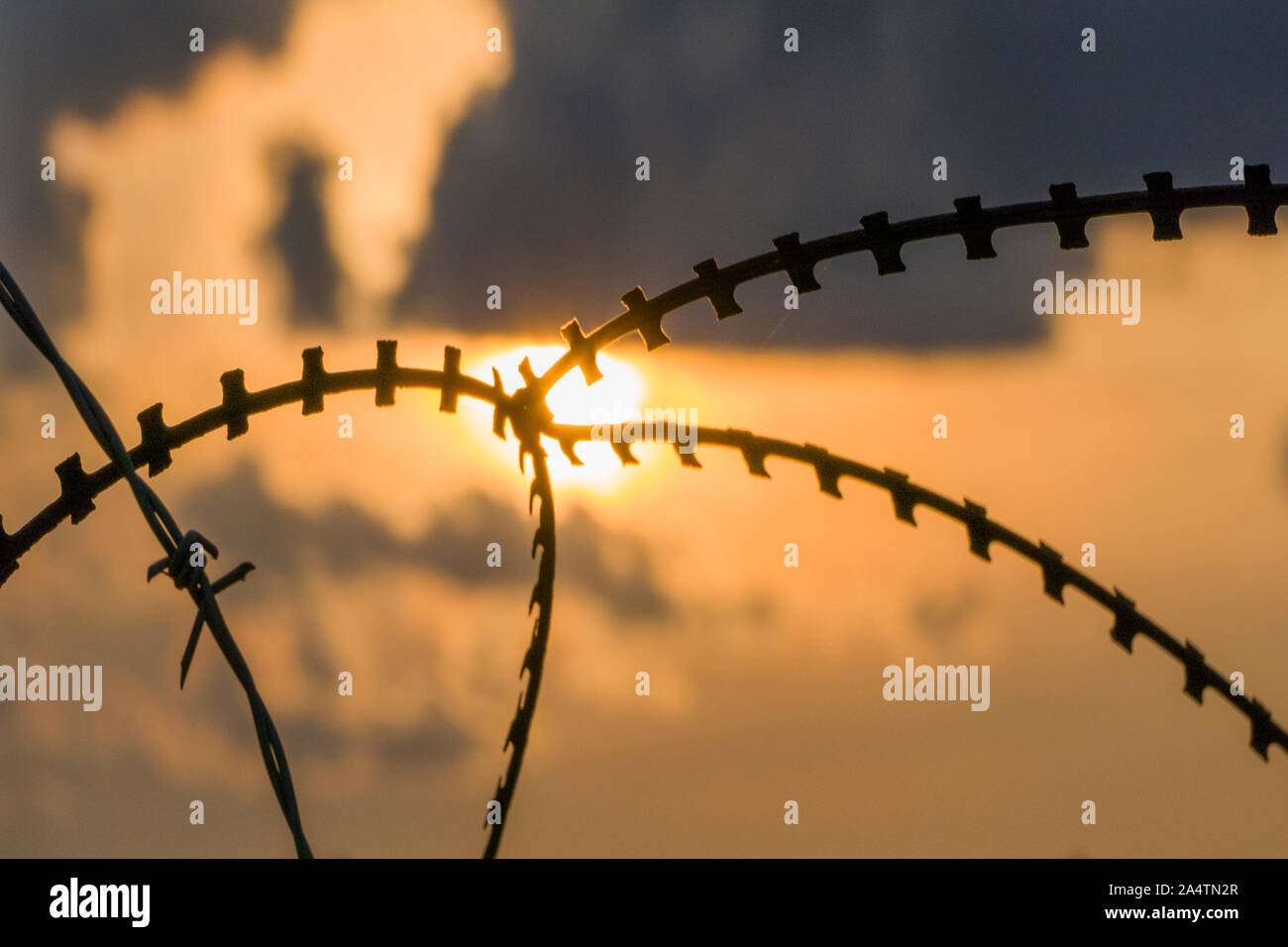 sunrise behind barbed wire fence Stock Photo