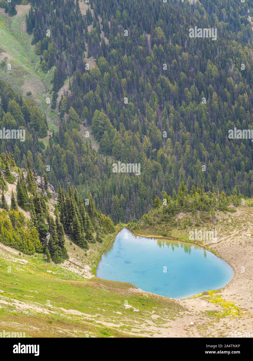 The view from near the Obstruction Peak site of Olympic National Park, Washington, USA. Stock Photo