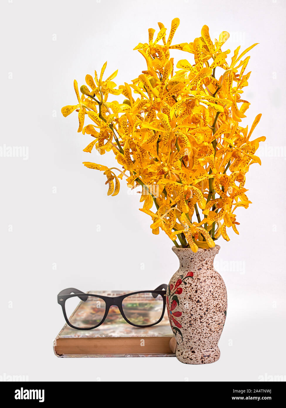 book and glasses ,and flower pots ,White background. Stock Photo