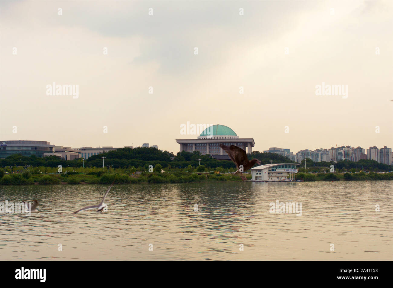 National assembly in Seoul in the evening, South Korea Stock Photo