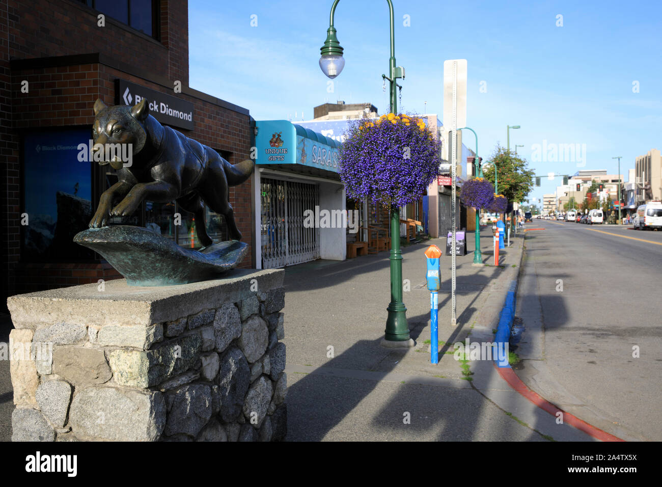 Anchorage, Alaska / USA August 08, 2019 Balto statue in Anchorage