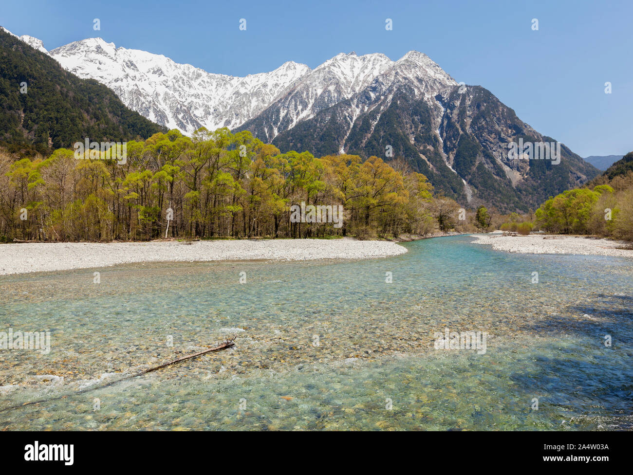The clear waters of the Azusa River running through the trees at Kamikochi with Japan's Northern Alps in the background. Stock Photo