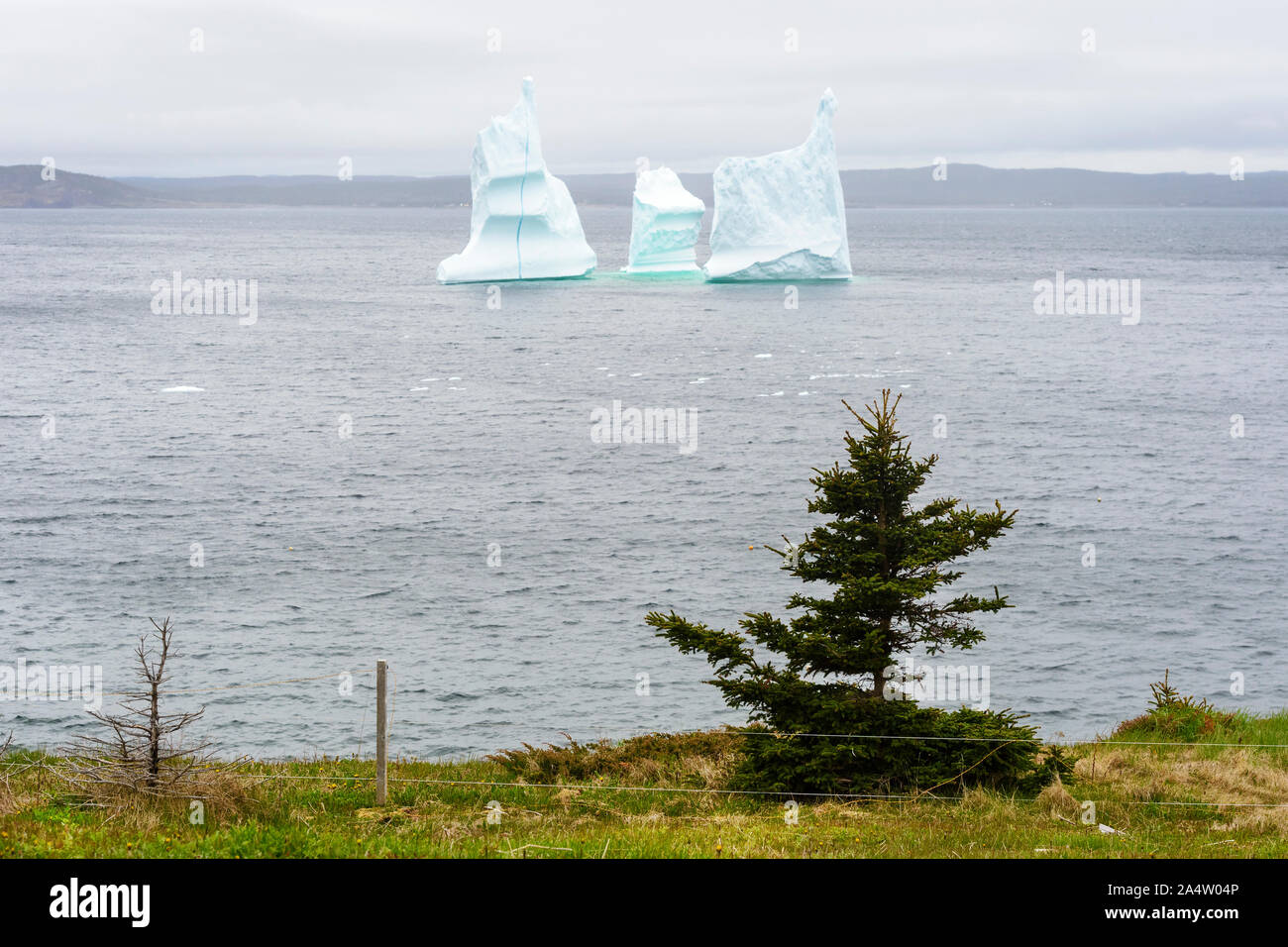 Iceberg run a ground for the coast, Bonavista bay, Bonavista Peninsula, Armherst cove