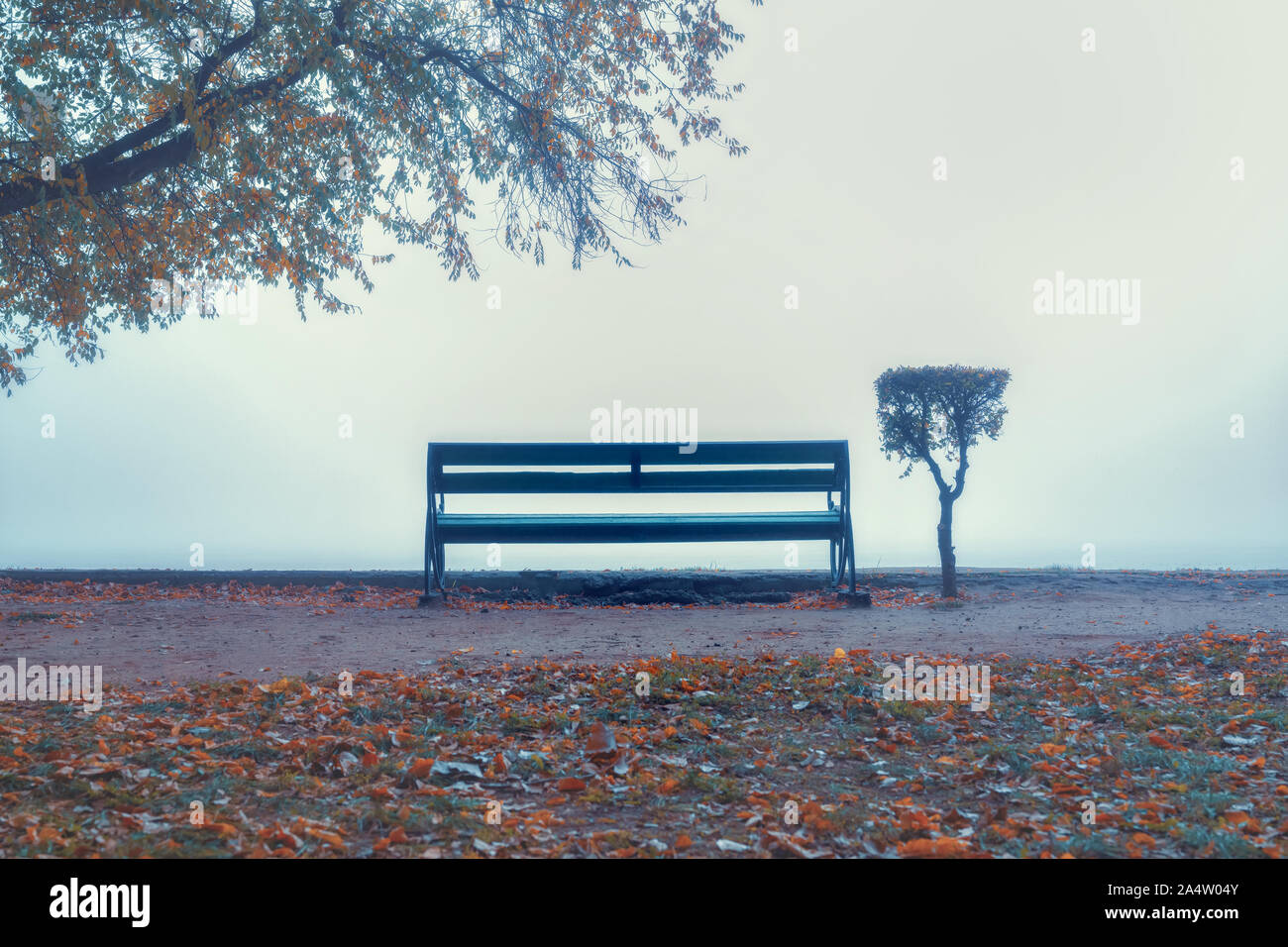 Autumn scene park bench background hi-res stock photography and images ...