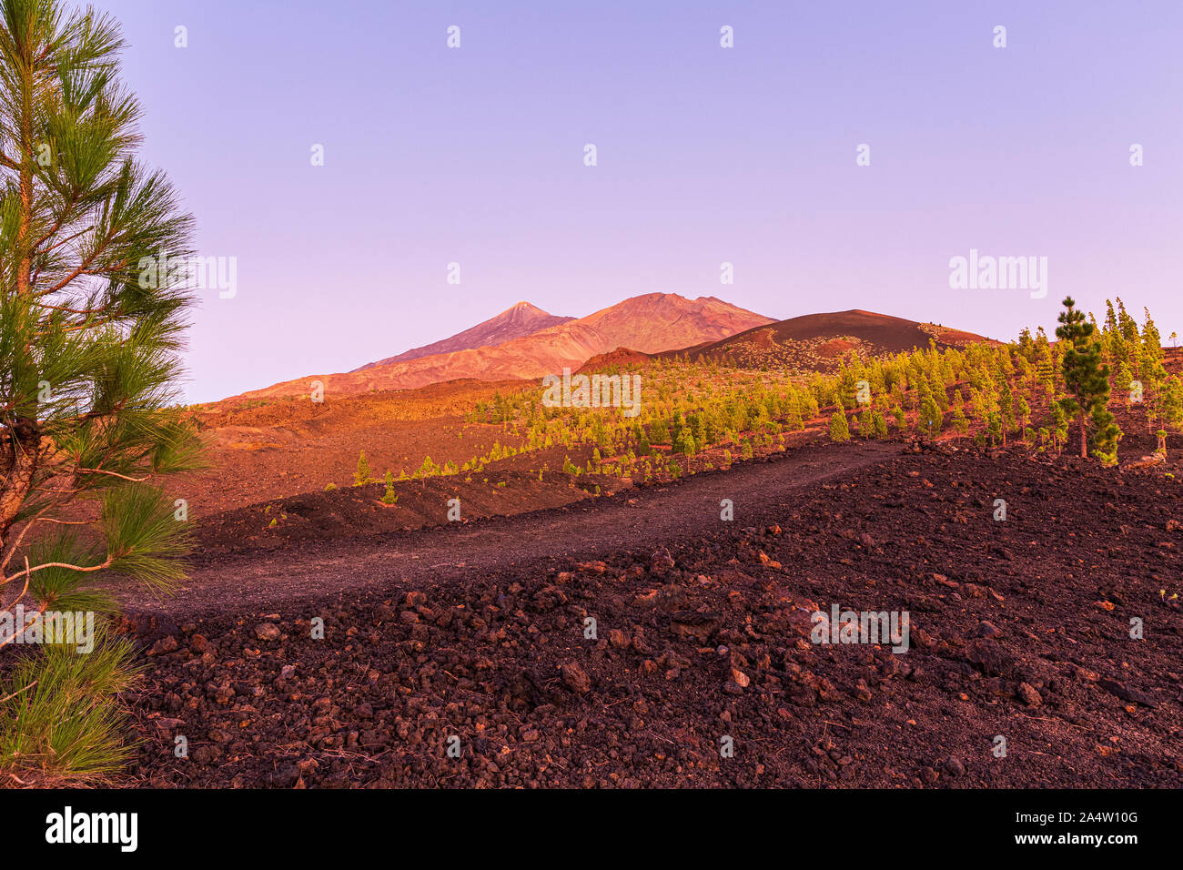 Teide volcano and the Pico Viejo, Old peak glow red in the twilight after sunset viewed from Samara mountain, Tenerife, Canary Islands, Spain Stock Photo