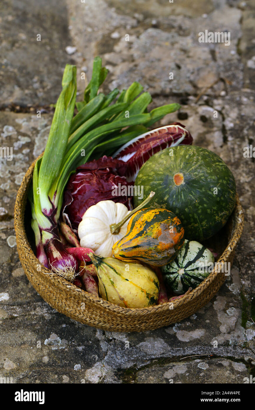 autumn vegetables harvest in a wicker basket Stock Photo - Alamy